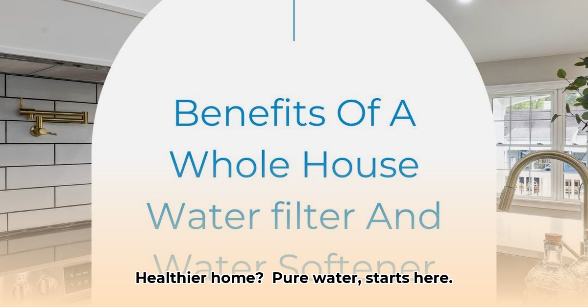 benefits-of-a-whole-house-water-filter